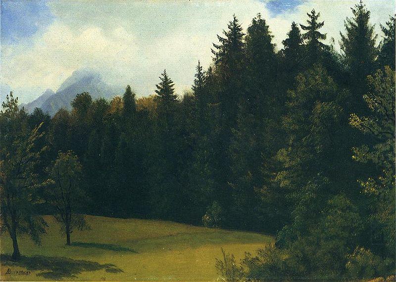 Albert Bierstadt Greater San Francisco Area (Mountain Glade and Mountain Resort) china oil painting image
